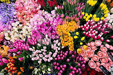 霓虹灯下的混乱和大屠杀 《故障朋克》开启抢先体验